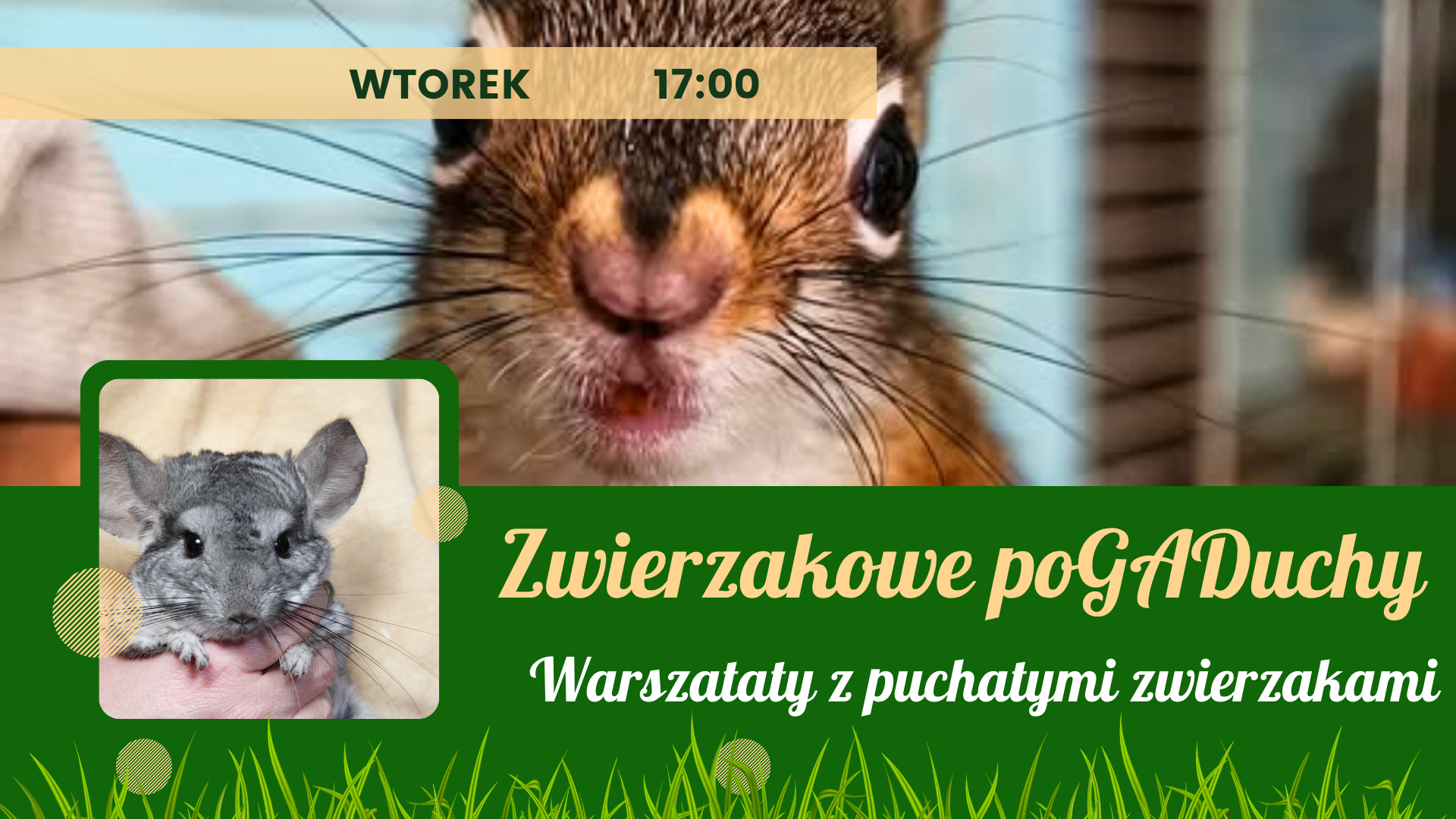 poGADuchy – Warsztaty zoologiczne – Pokaz Zwierząt Egzotycznych