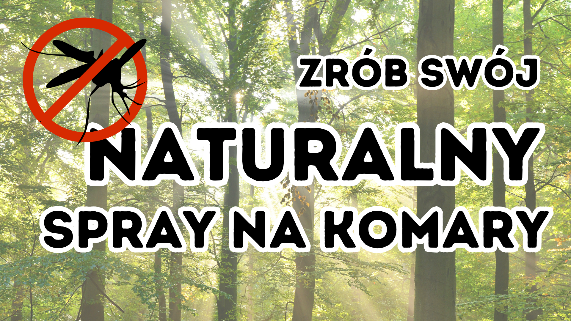 Spray na uparte owady „komary, kleszcze, meszki”